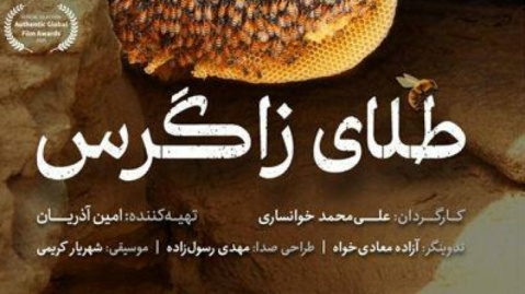 «طلای زاگرس» در جشنواره‌ جهانی
