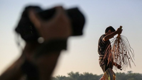 گزارش تصویری/ صبحانه بیست و سوم شهریور