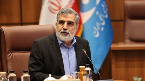 با وجود سنگ‌اندازی آمریکا، برای تصویب قطعنامه پیشنهادی ایران تلاش می‌کنیم