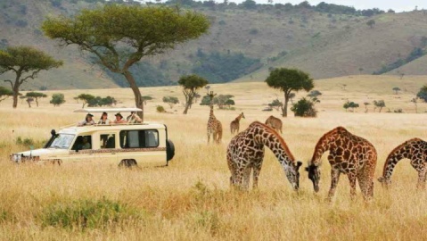 آفریقا پیشتاز گردشگری جهانی؛ رشد چشمگیر سفرها به شمال و جنوب این قاره
