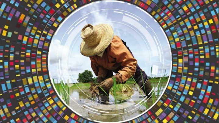 ایران به برنامه چارچوب جهانی کم‌آبی در بخش کشاورزی فائو پیوست