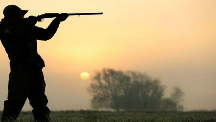 شکارچیان گراز به دام افتادند!