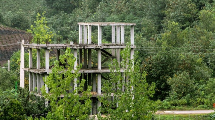 صدور حکم نهایی برای ٢ هزار و ٢٩۵ پرونده مرتبط با تخلفات زیست محیطی