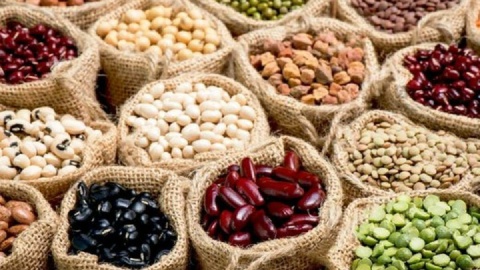 آغاز ثبت سفارش حبوبات سهمیه فصل پاییز از ۲۹ شهریور