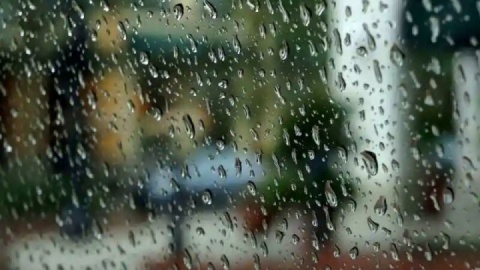 سواحل شمالی و برخی مناطق کشور بارانی می‌شود