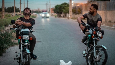 پشت پرده بلاگر شدن در «گوزن‌های اتوبان»