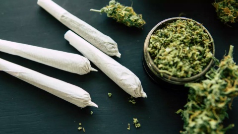 گلهایی با بوی مرگ