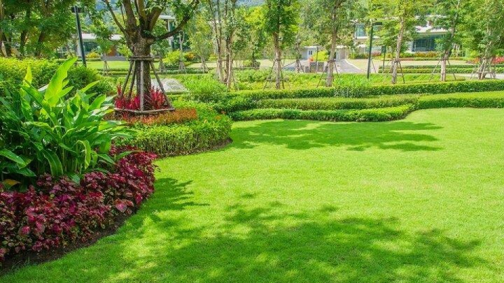 صرفه‌جویی ۶۰ درصدی آب با چمن‌های بومی