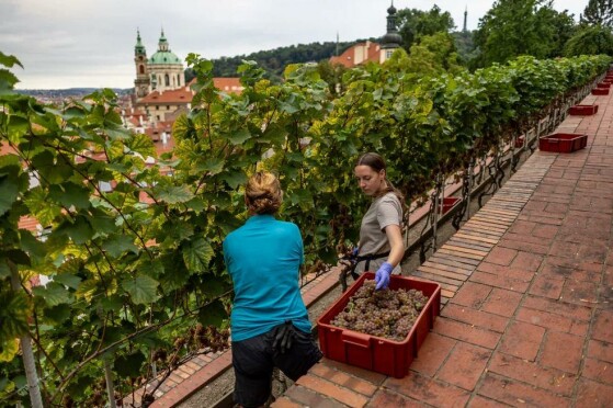 پراگ، جمهوری چک