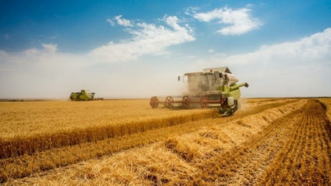 نرخ پیشنهادی خرید تضمینی گندم ۳۲ هزار و ۵۰۰ تومان/ جلسه شورای قیمتگذاری امروز برگزار میشود