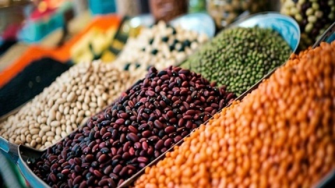 ایران سال‌هاست که تحریم است؛ مکانیزم ماشه تهدید جدیدی برای امنیت غذایی نیست