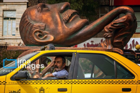 برداشت انگور در شهر تاکستان قزوین