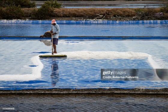 برداشت سنتی نمک در اندونزی به دلیل آب و هوای نامساعد مختل شد