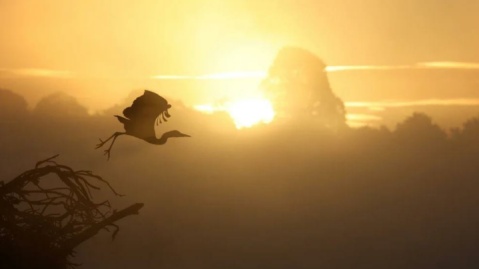 گزارش تصویری/ جهان در روزی که گذشت