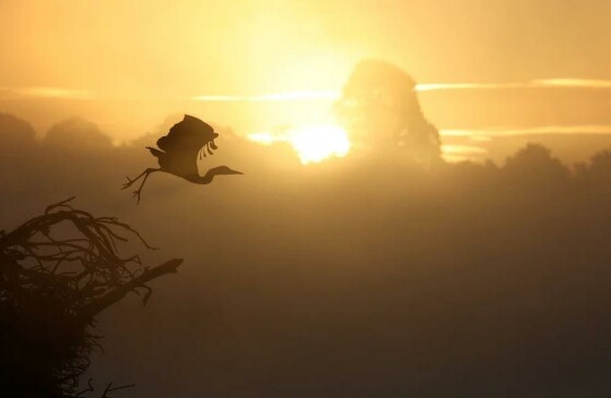 لندن، انگلستان