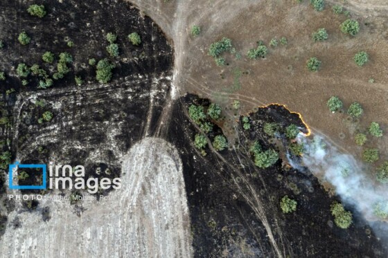 آتش سوزی در «تالاب میانکاله»