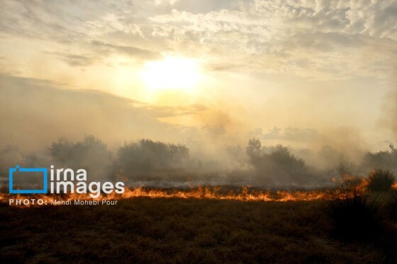 آتش سوزی در «تالاب میانکاله»