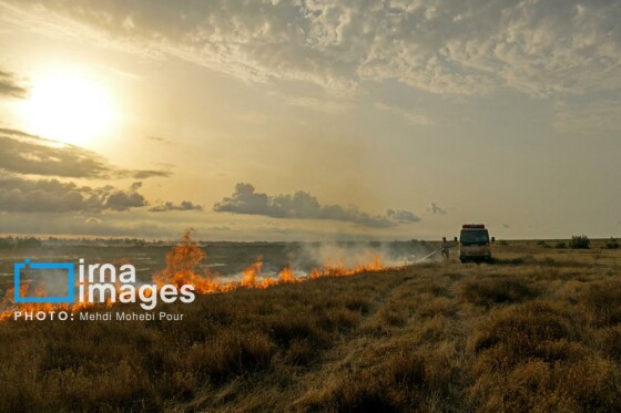آتش سوزی در «تالاب میانکاله»