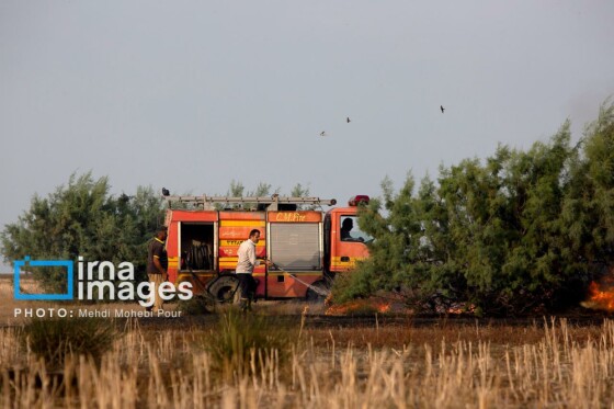 آتش سوزی در «تالاب میانکاله»