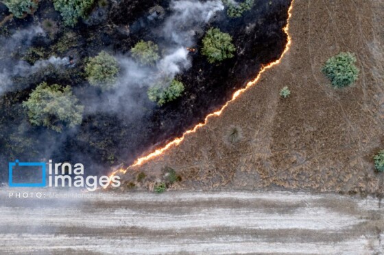 آتش سوزی در «تالاب میانکاله»