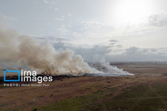 آتش سوزی در «تالاب میانکاله»
