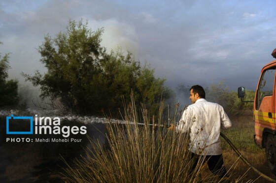 آتش سوزی در «تالاب میانکاله»