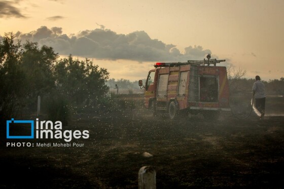 آتش سوزی در «تالاب میانکاله»