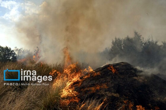 آتش سوزی در «تالاب میانکاله»