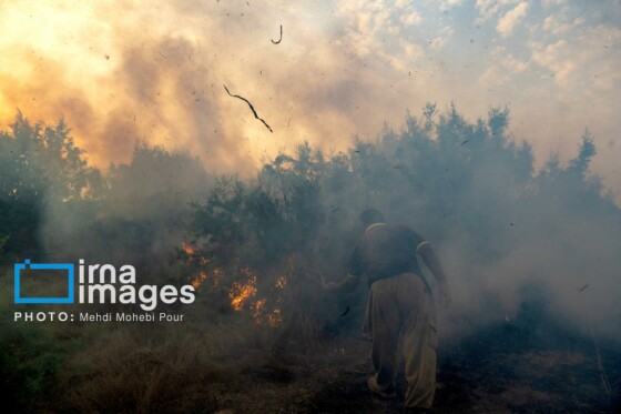 آتش سوزی در «تالاب میانکاله»
