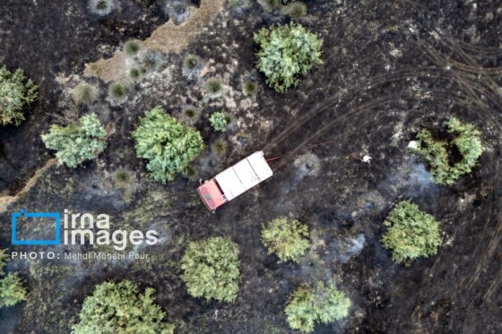 آتش سوزی در «تالاب میانکاله»