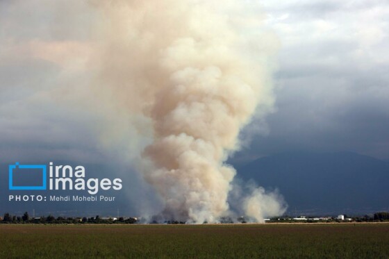 آتش سوزی در «تالاب میانکاله»