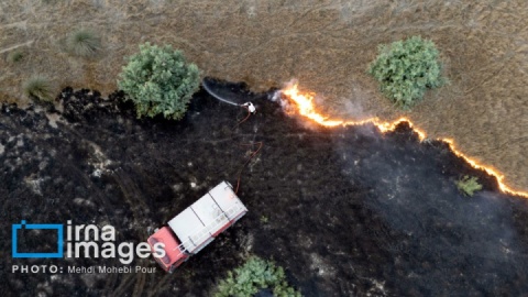 گزارش تصویری/ آتش سوزی در «تالاب میانکاله»