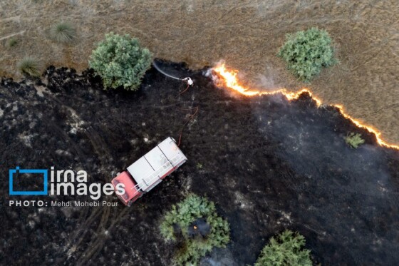 آتش سوزی در «تالاب میانکاله»