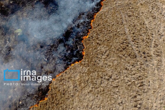 آتش سوزی در «تالاب میانکاله»