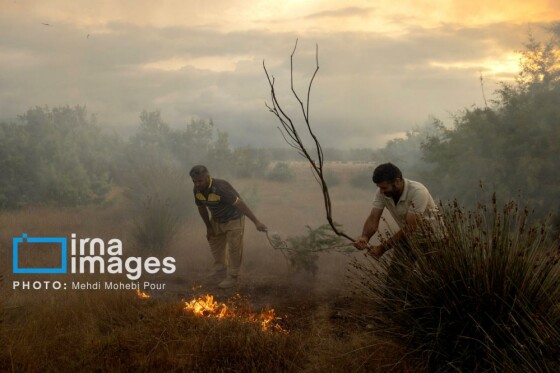 آتش سوزی در «تالاب میانکاله»