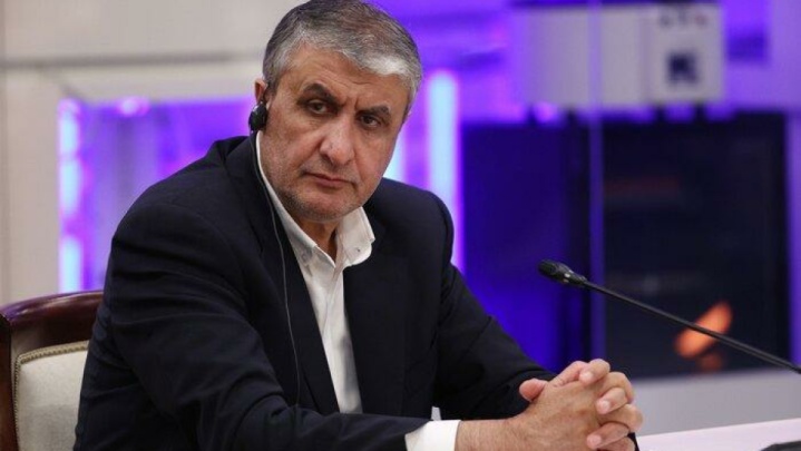 برنامه‌ هسته‌ای ایران شفاف است/ غرب دست از دروغ‌پردازی بردارد