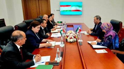 حقیقیان با رئیس و اعضای گروه دوستی پارلمانی ایران و تاجیکستان دیدار کرد