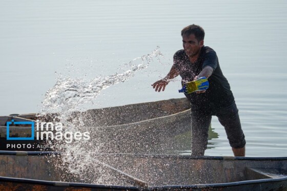 مسابقه هوری‌رانی در جزیره قشم