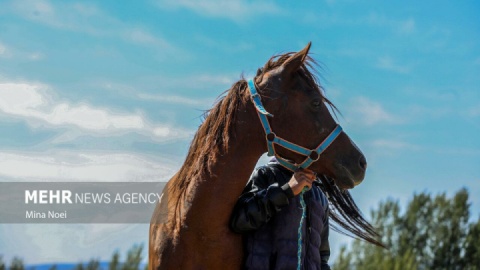 گزارش تصویری/ صبحانه پنجم مهر