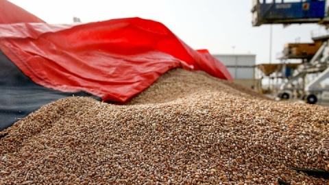 مجوز واردات برنج و نهاده‌ها به افراد خاص منجر به انحصار می‌شود