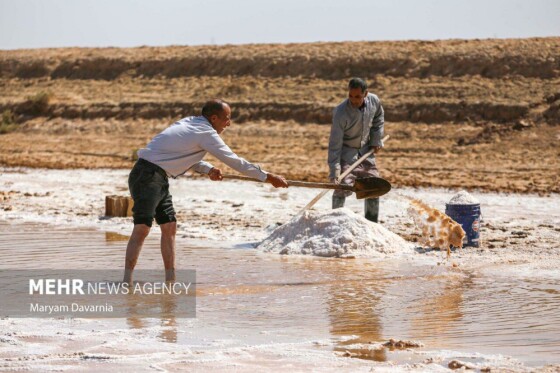 برداشت سنتی نمک از رودخانه «کال‌شور»