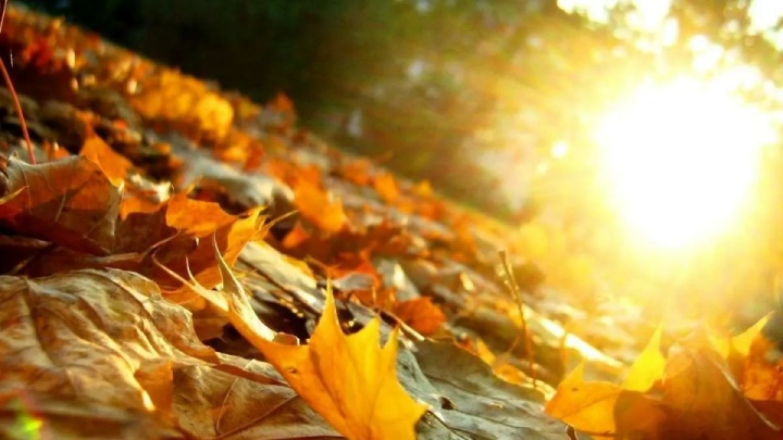 پاییز بدون باران/ بارندگی نزدیک به نرمال از اوایل زمستان