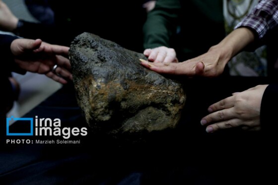 رونمایی از جدیدترین شهاب‌سنگ سیارکی