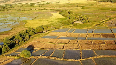 رفع تداخلات اراضی باید در موعد مقرر به اتمام برسد
