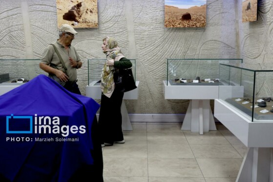 رونمایی از جدیدترین شهاب‌سنگ سیارکی