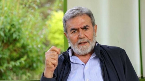 النخاله: طرح ترامپ نسخه‌ای برای انفجار منطقه است