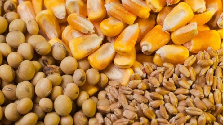 ثبات در بازار نهاده‌ها با تامین کافی ذخایر استراتژیک