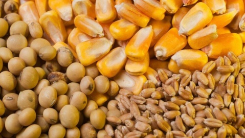 ثبات در بازار نهادهها با تامین کافی ذخایر استراتژیک