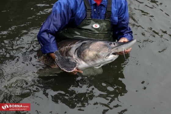 تور رسانه ای قوه قضاییه در استان گیلان