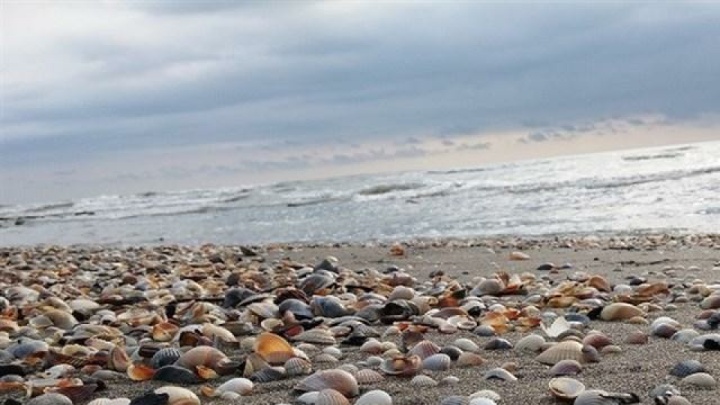 صدور هشدار نارنجی هواشناسی در مازندران/ دریای خزر مواج می‌شود